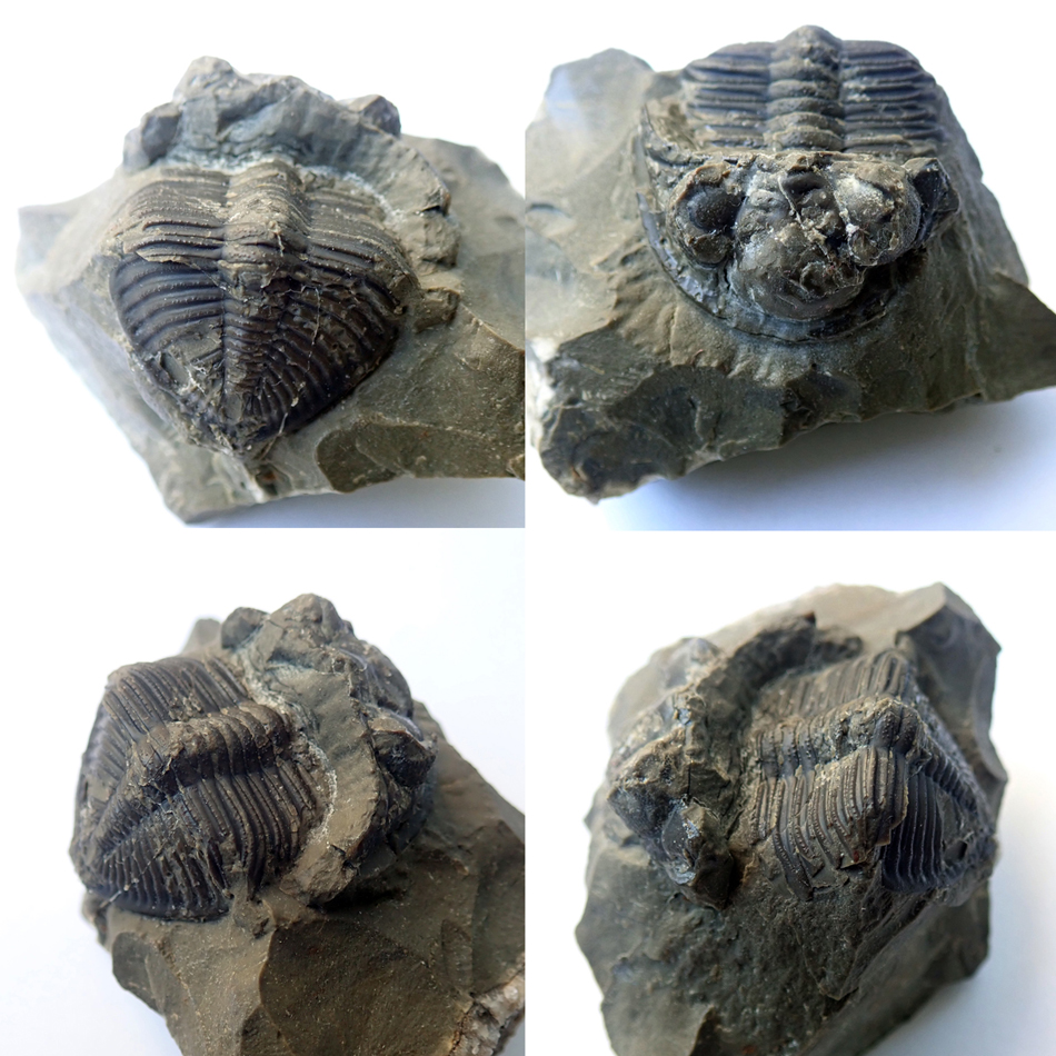 35 mm (sag), Karlštejn