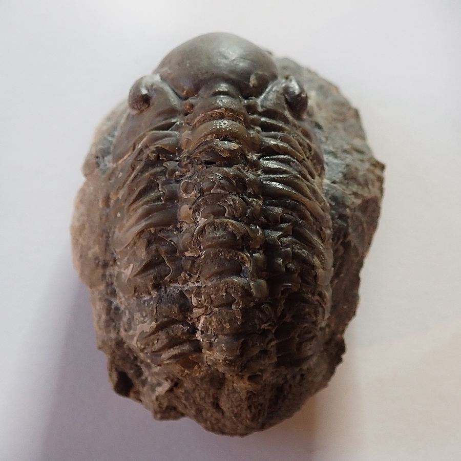 70 mm (sag), Praha, Dalejské údolí - zlíchovské s.