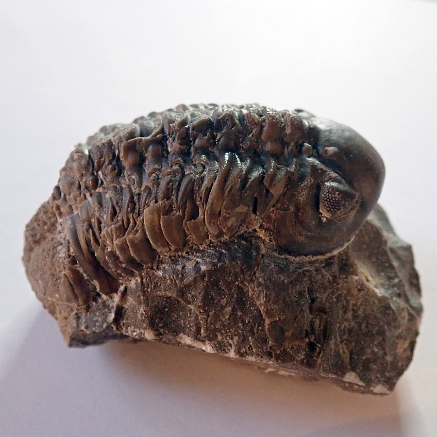 70 mm (sag), Praha, Dalejské údolí - zlíchovské s.