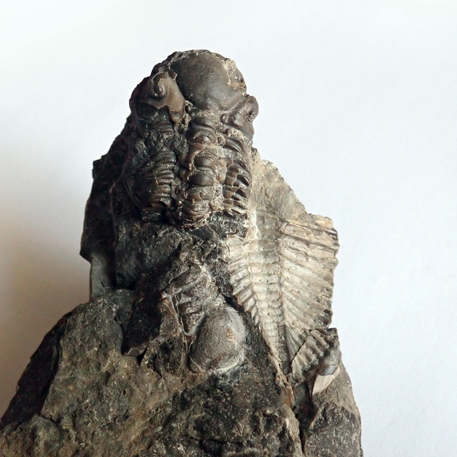 45 mm (sag), Sv. Jan pod Skalou - zlíchovské s.